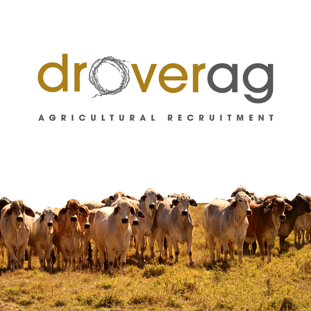 Drover Ag Square Logo (1000 × 1000 Px)